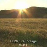 South Dakota Prairie Prairie Dew Sun Flare Sounds Birds Singing Sunrise Spring