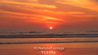 Pacific Ocean with Birds Flying Orange Sky Paradise Scenic in Costa Rica