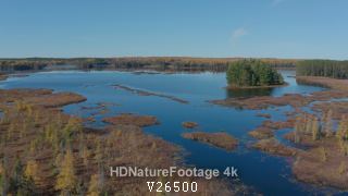 Aerial Drone in Northern Wisconsin Great Lakes Muskeg Tamarac Marsh or Swamp